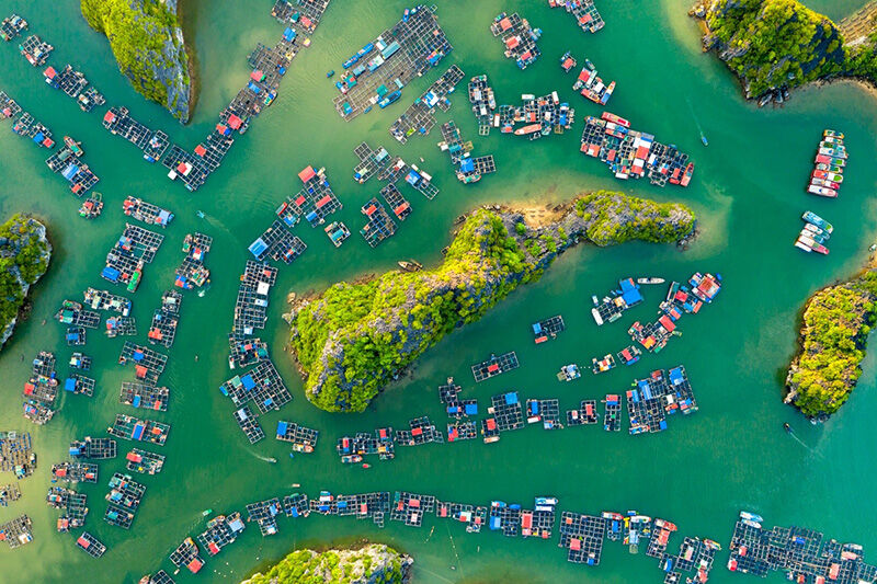 Connect with authentic island life